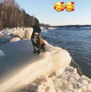 Meet your Posher, Marie-claude